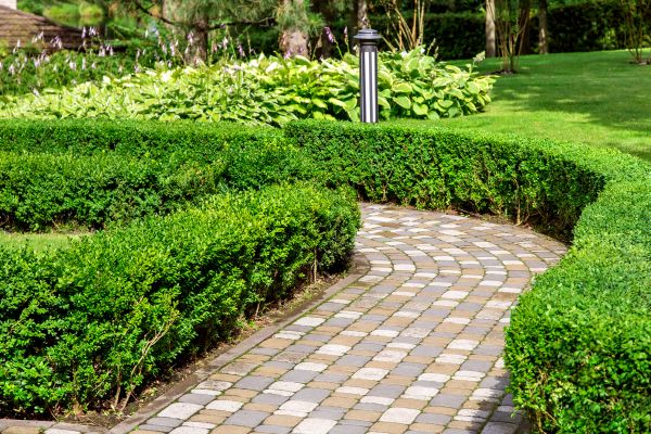 Cost of Paved Landscaping in Myrtle Beach