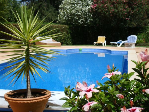 Cost of Pool Terrace Renovation in Myrtle Beach